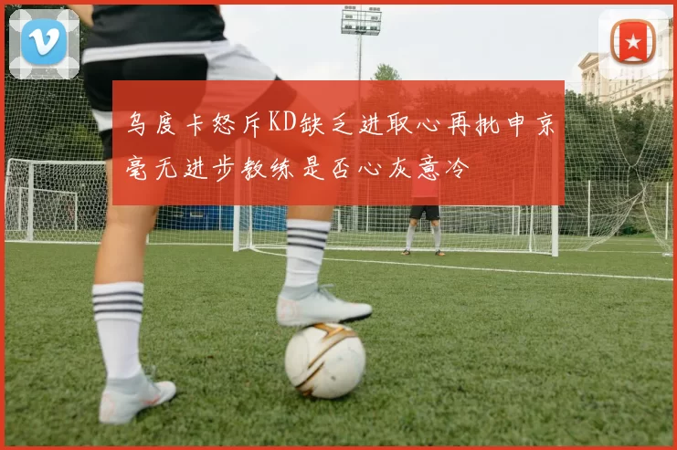 乌度卡怒斥KD缺乏进取心再批申京毫无进步教练是否心灰意冷