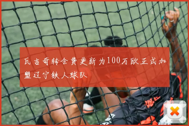 瓦吉奇转会费更新为100万欧正式加盟辽宁铁人球队
